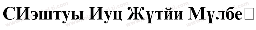 VNtimes New Roman Bold字体转换